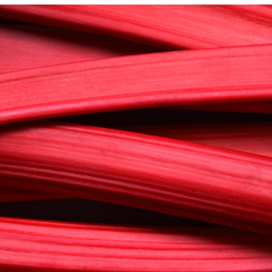 Rhubarb & Pepper